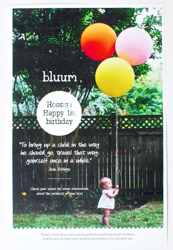 bluum review