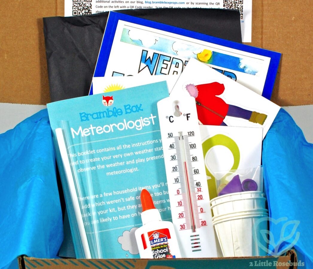 June 2016 Bramble Box review