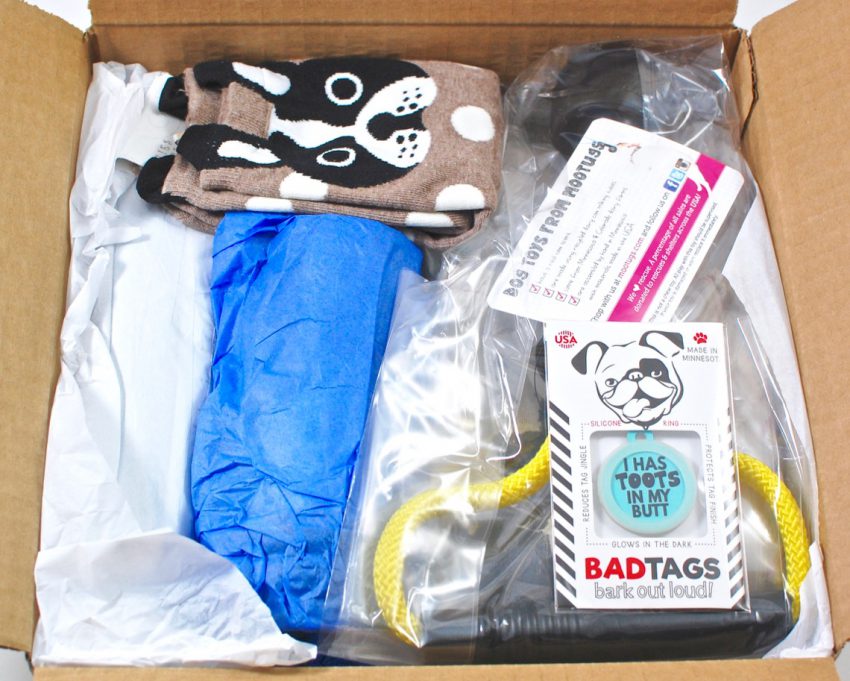 Dog People Box review
