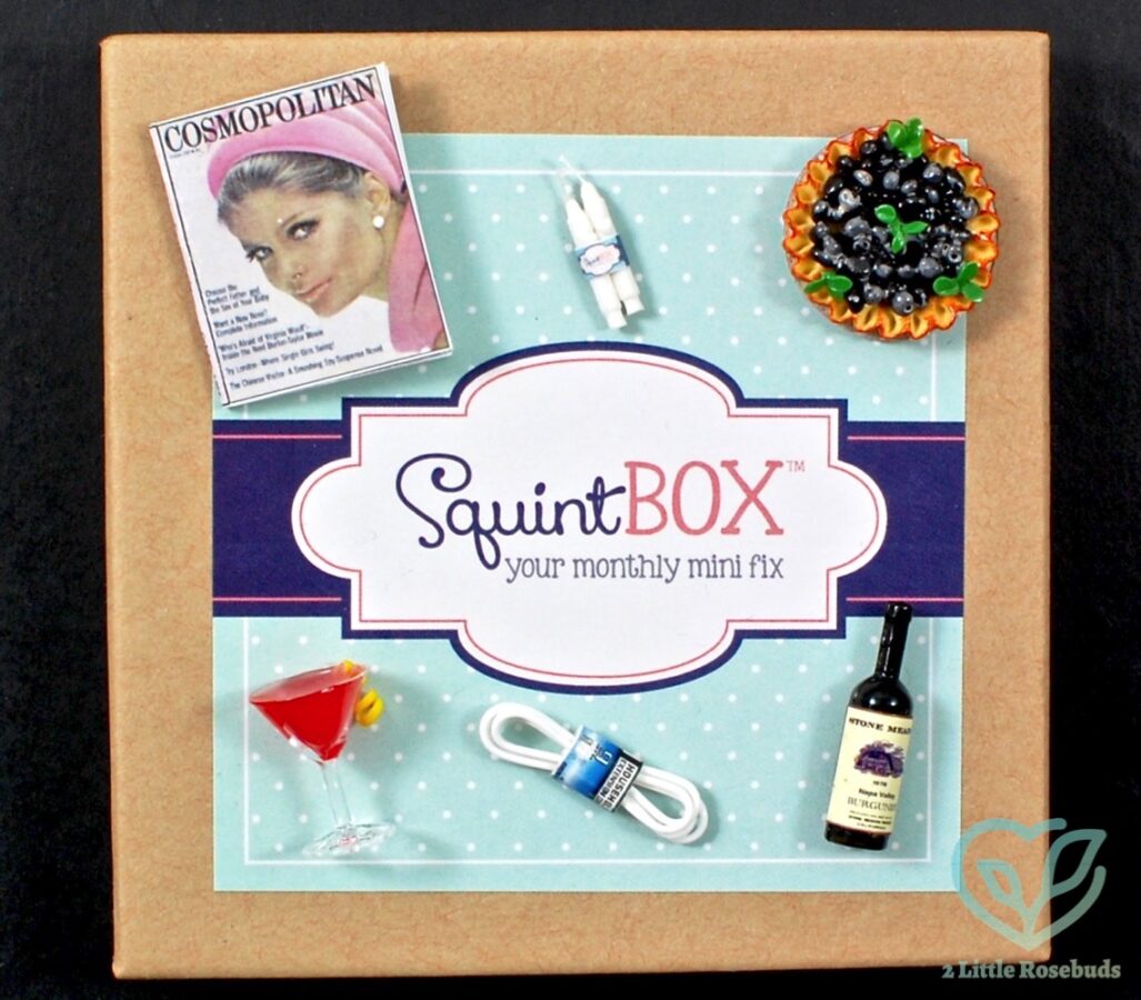 June 2016 SquintBox review