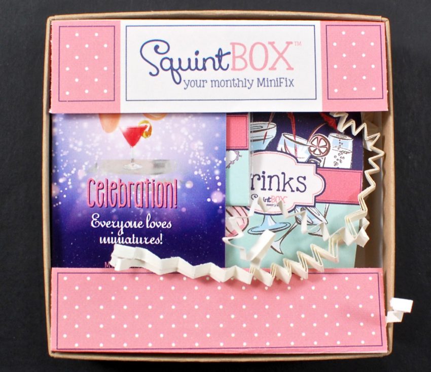 SquintBox review
