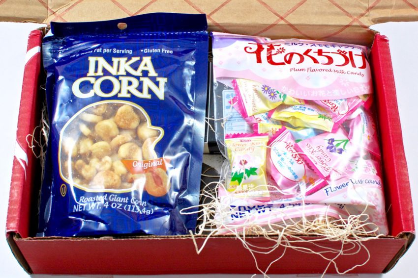 try the world snack box review