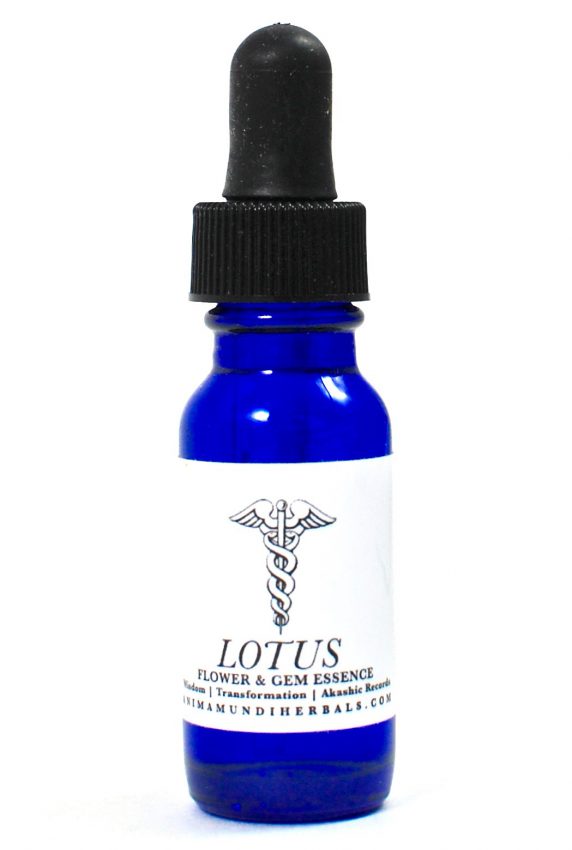 Anima Mundi wild lotus essence