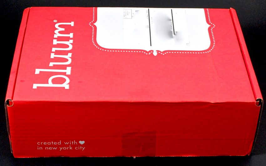 bluum box review