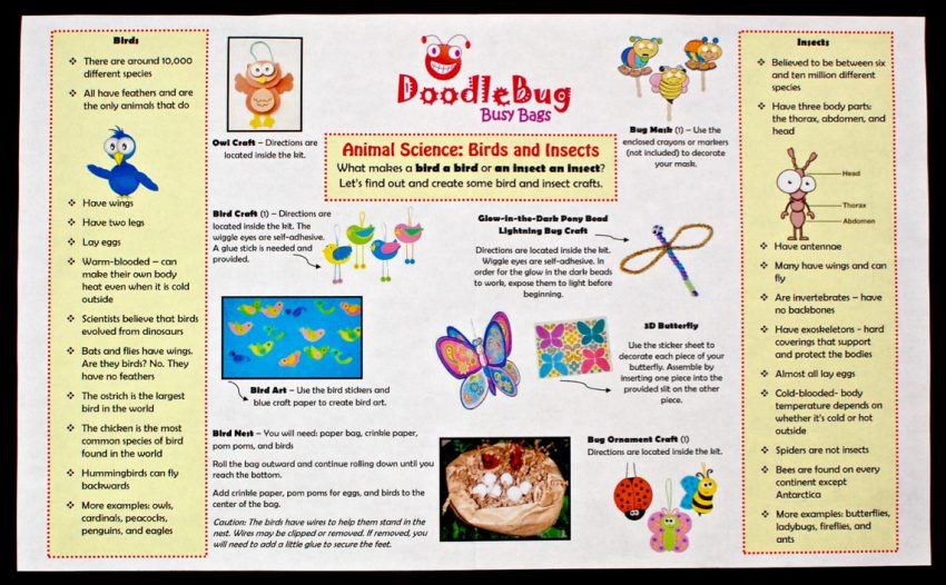 August 2016 Doodlebug Busy Bag