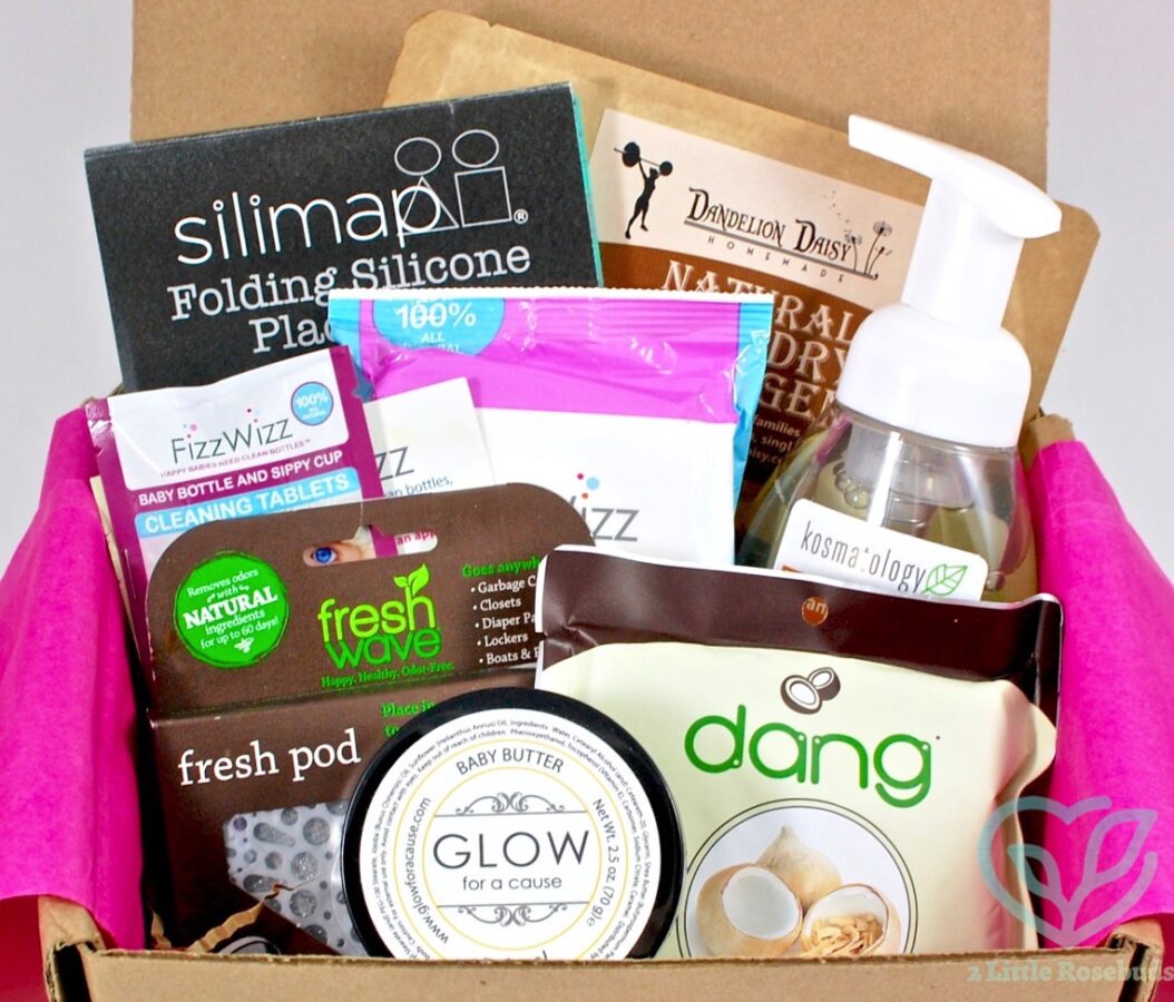 July/August 2016 Ecocentric Mom review