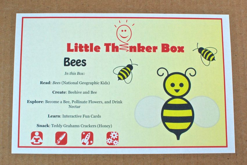 Little Thinker Box bees