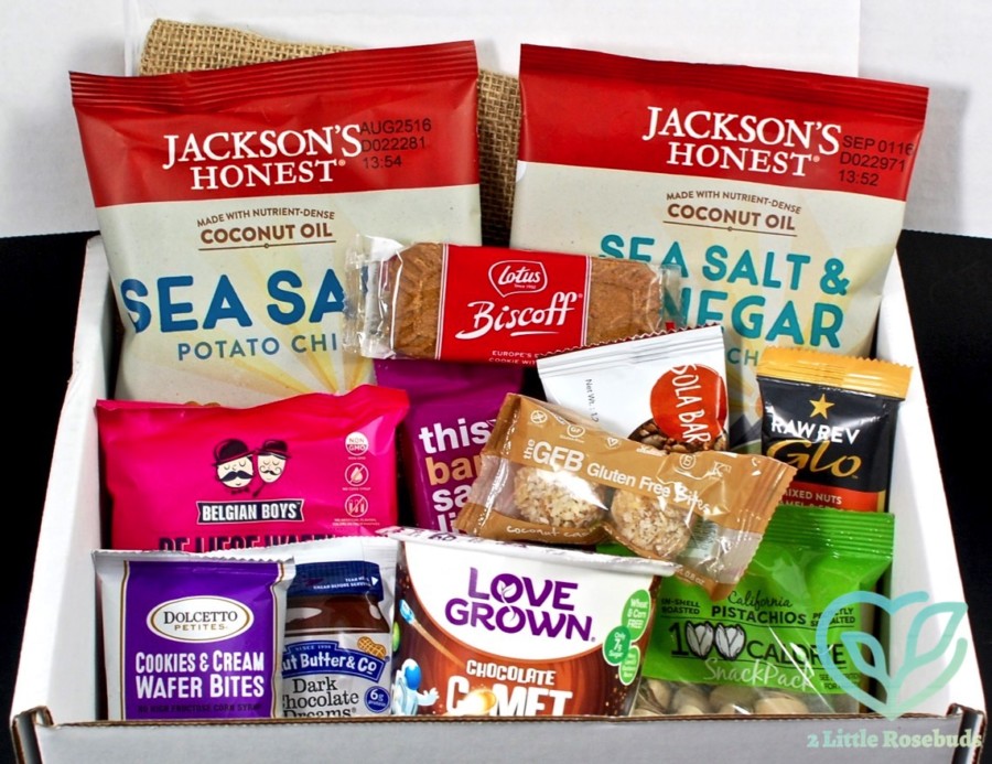 August 2016 Snacksack review