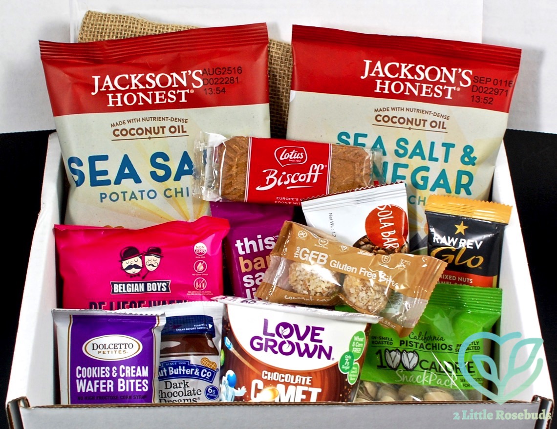 August 2016 Snacksack review