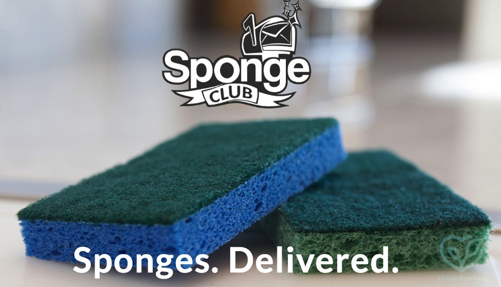 Sponge Club free offer