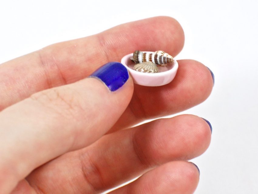 miniature shells