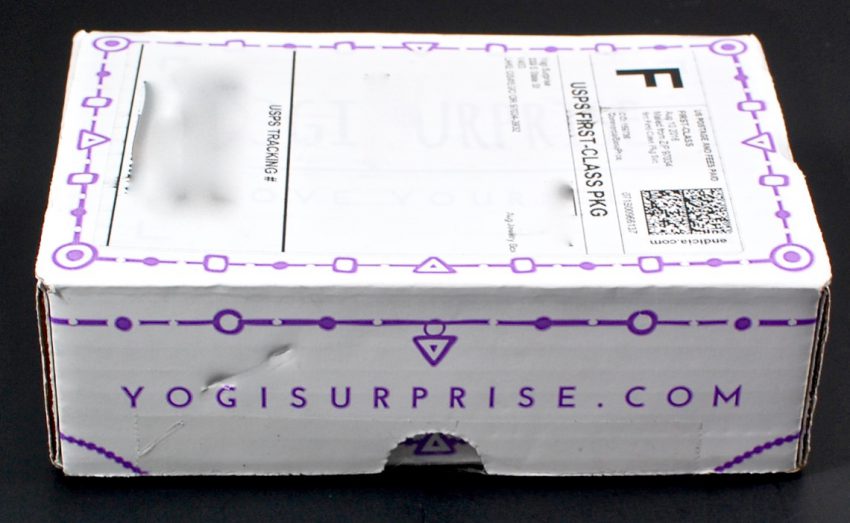 Yogi Surprise review
