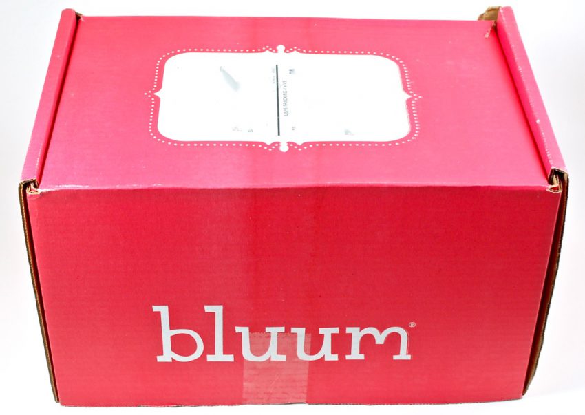 bluum box review