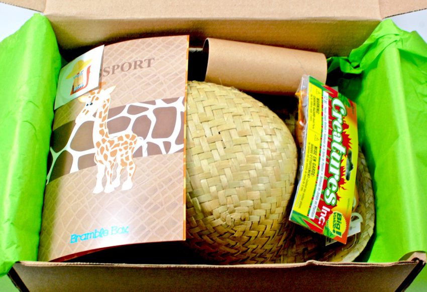 Bramble Box review