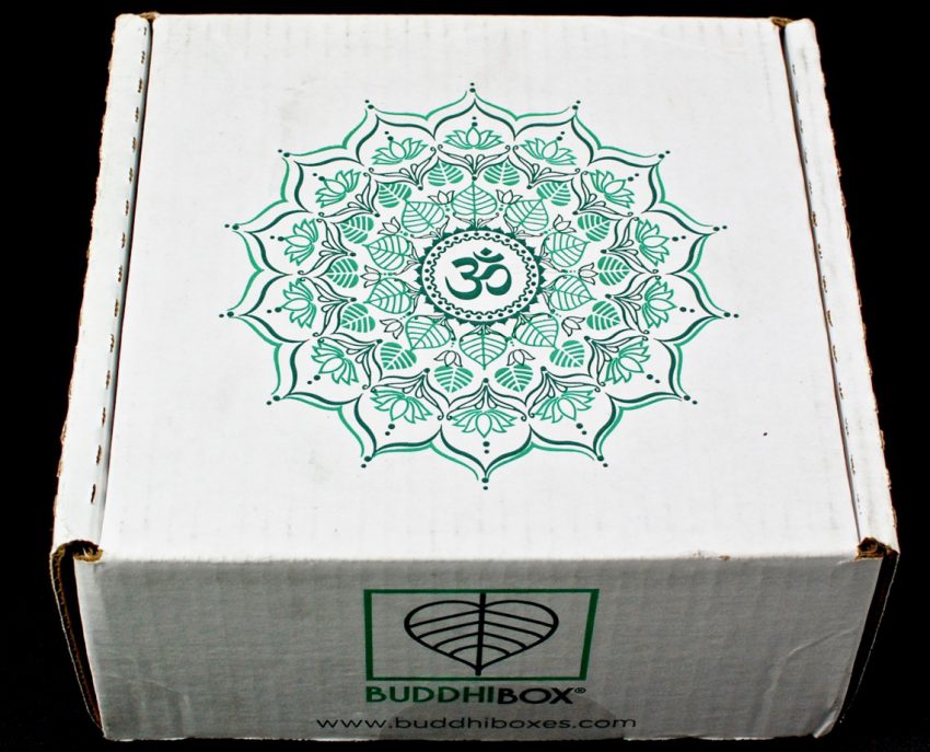 Buddhibox review