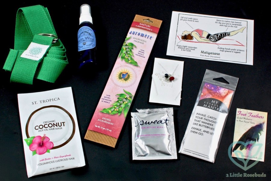 September 2016 Buddhibox review