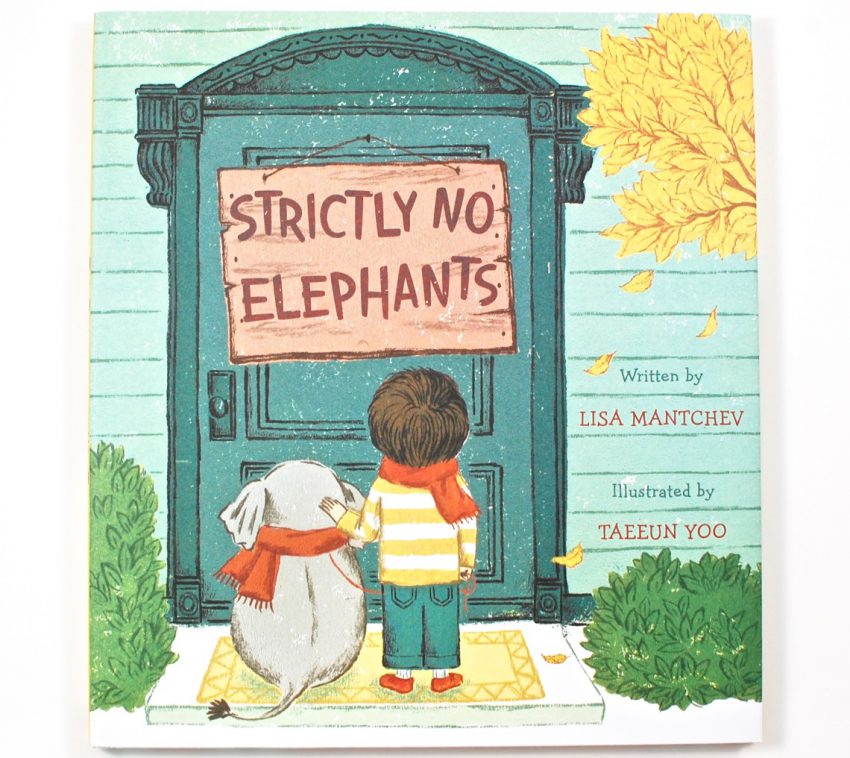 Strictly No Elephants book