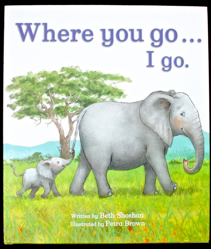 Where You Go, I Go book