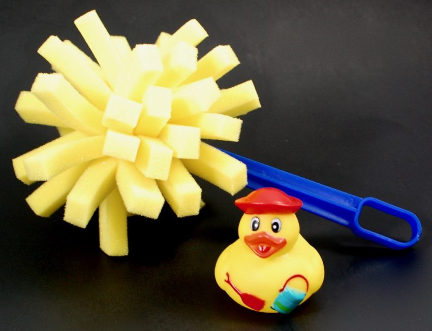 animal bath activity