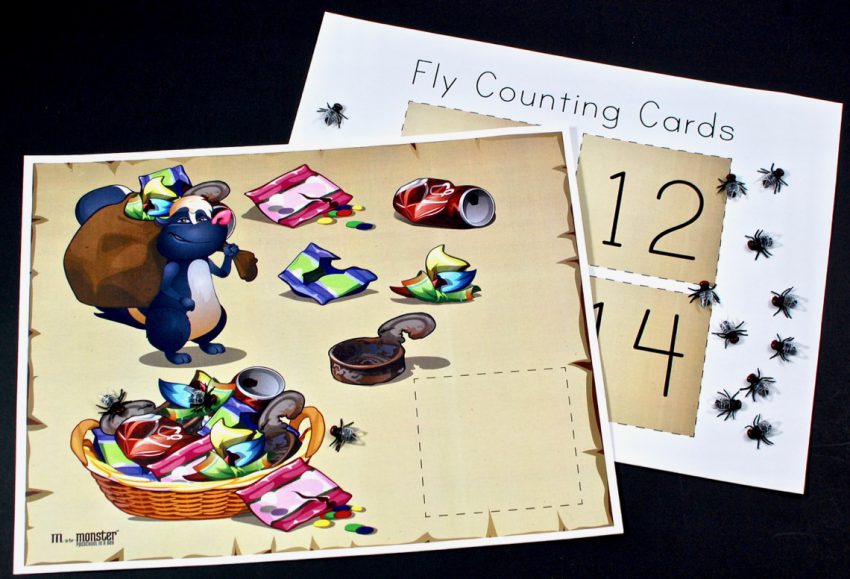 fly counting