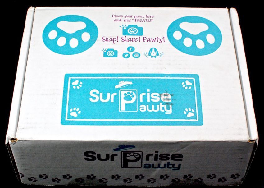 Surprise Pawty box