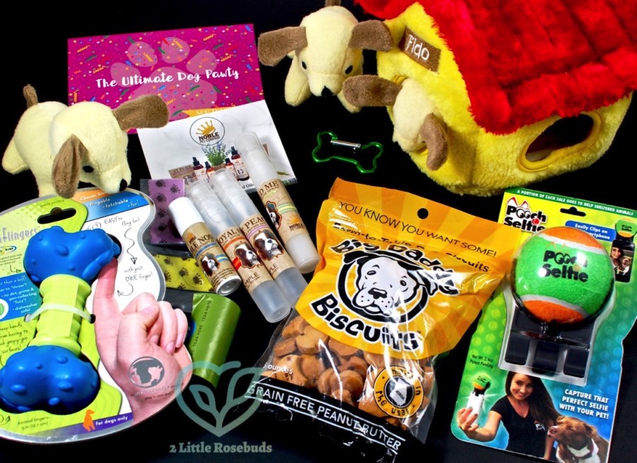 September 2016 Surprise Pawty review