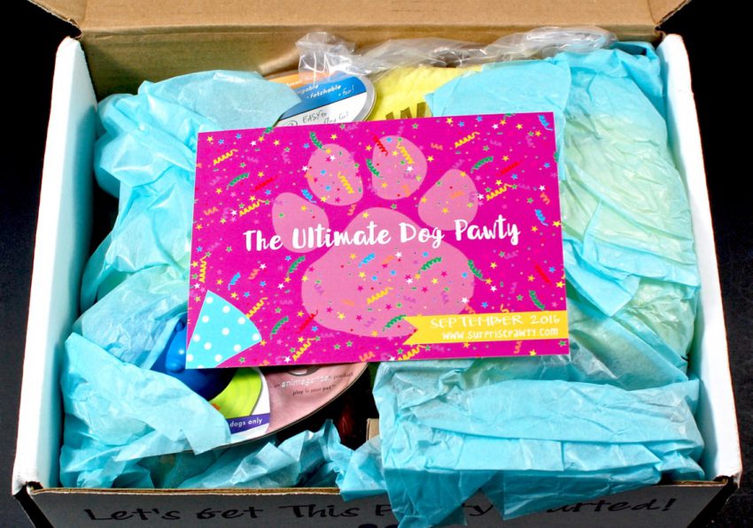 Surprise Pawty review