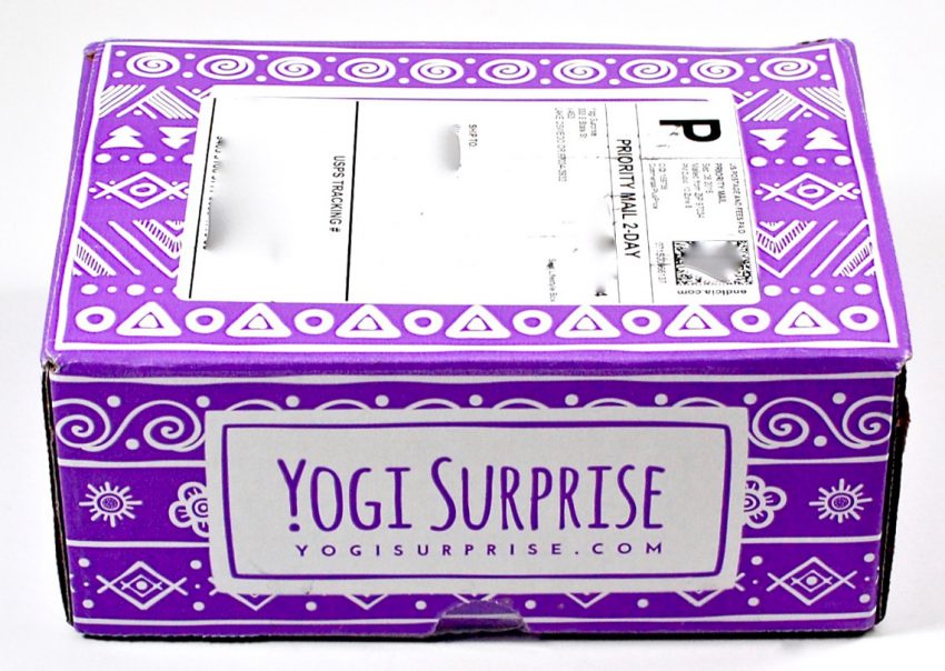 Yogi Surprise review
