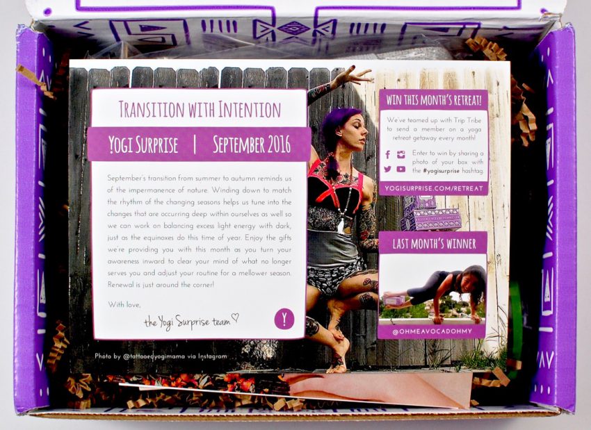 Yogi Surprise box