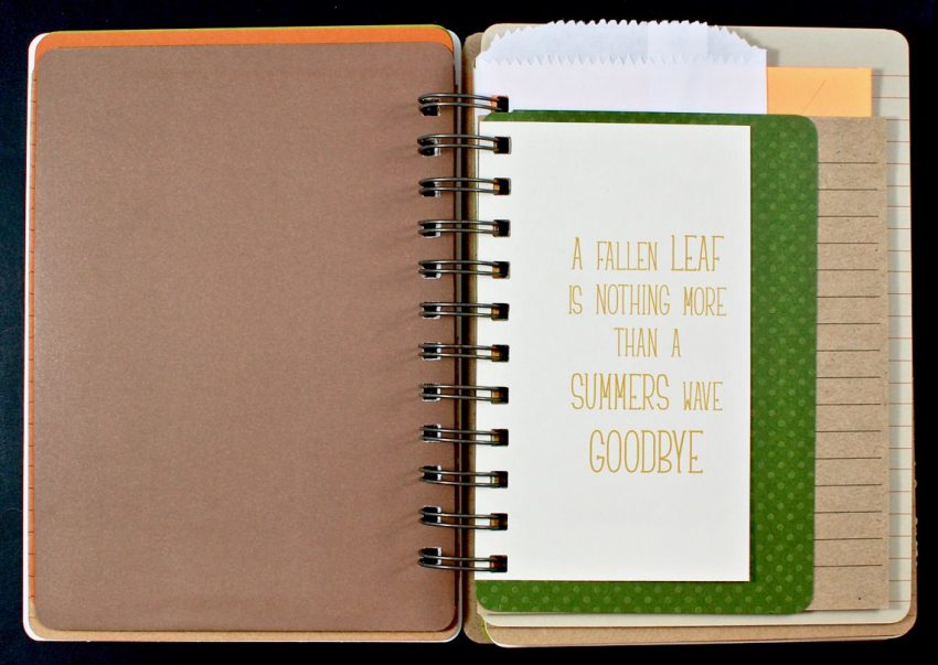 Holly Journal review