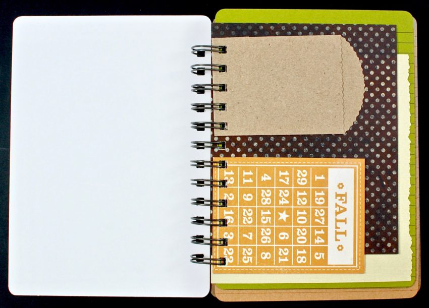 Holly Journal