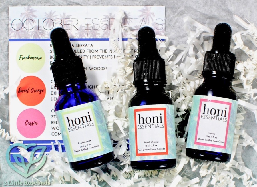 October 2016 Honi Essentials review