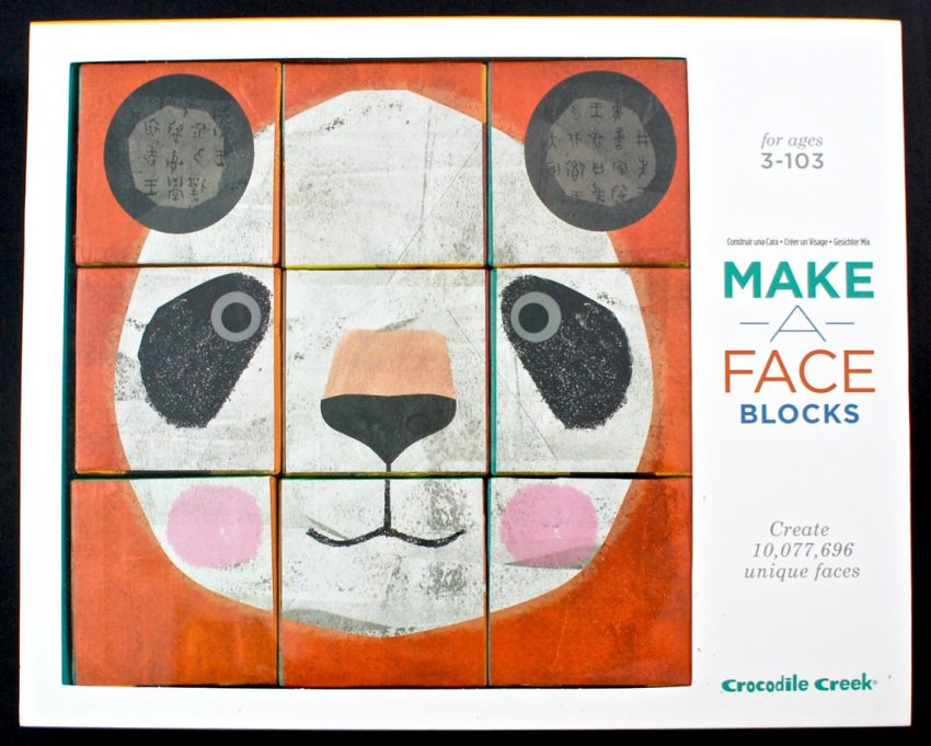 Make a Face Blocks