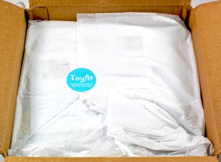 toyfit review