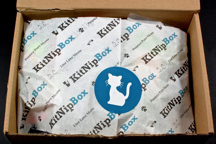 KitNipBox reviews