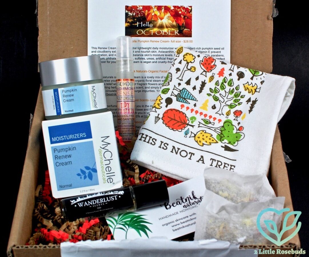 October 2016 Kloverbox review