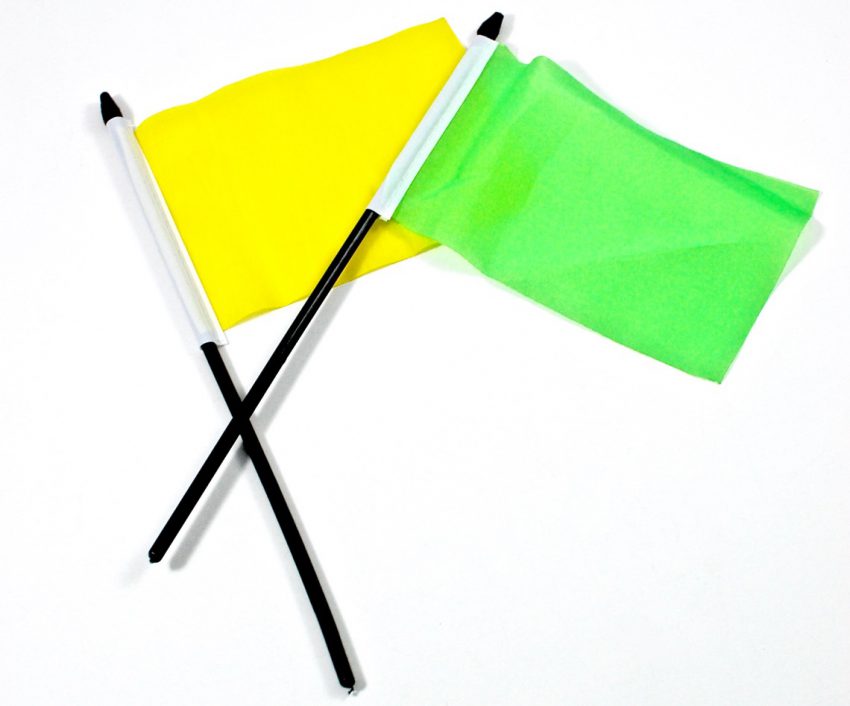 capture the flag