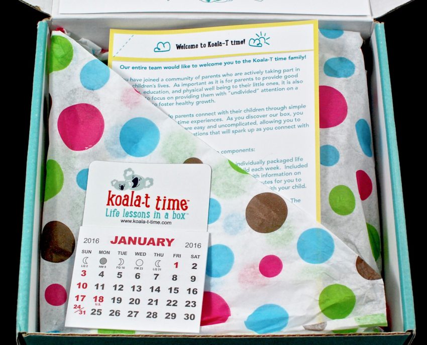 koala t time box