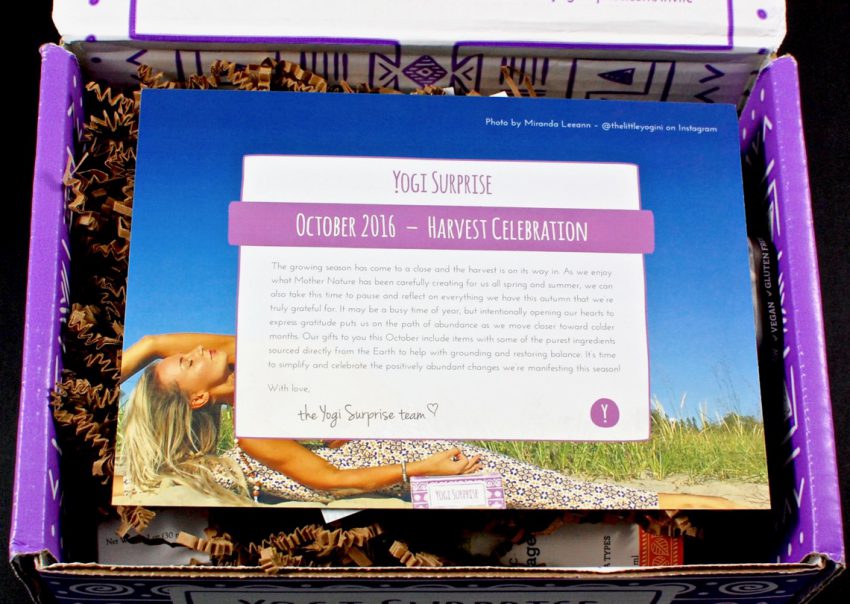 Yogi Surprise review