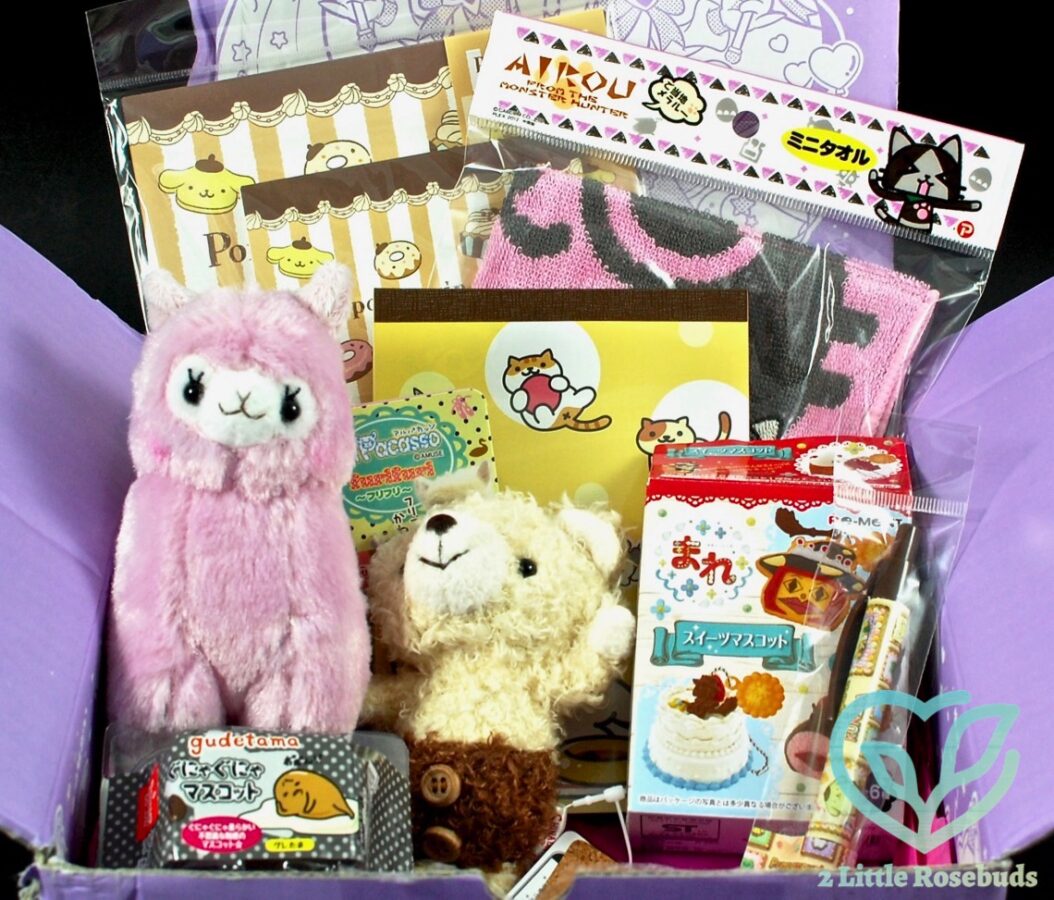 August 2016 YumeTwins review