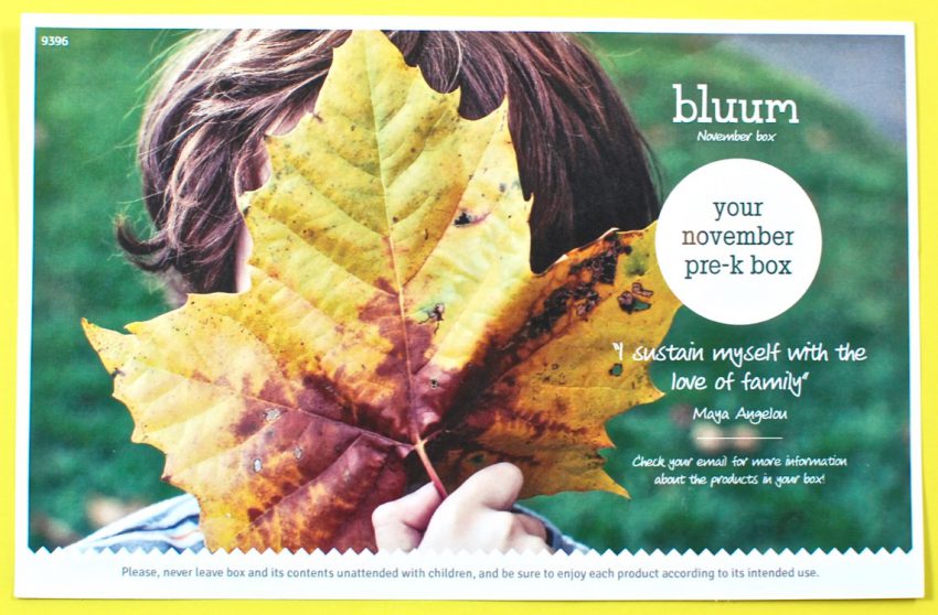 November 2016 bluum review