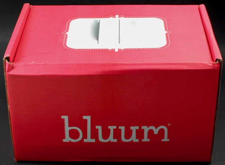 bluum box review