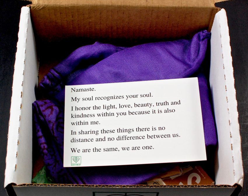 buddhibox review