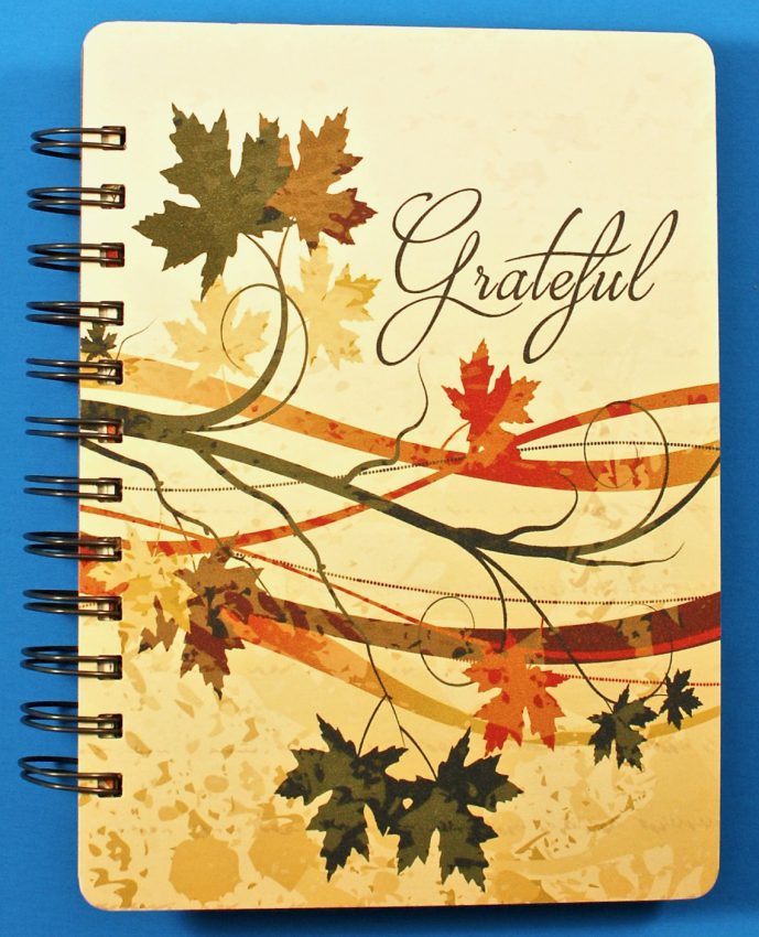 Holly Journals review