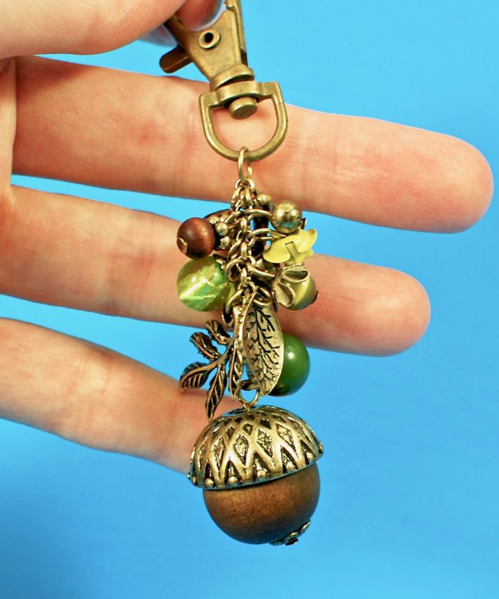 acorn journal bling