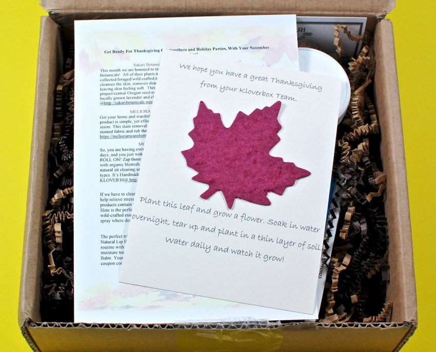 Kloverbox review