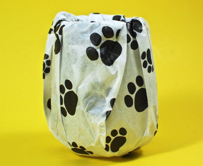 pawrent gift