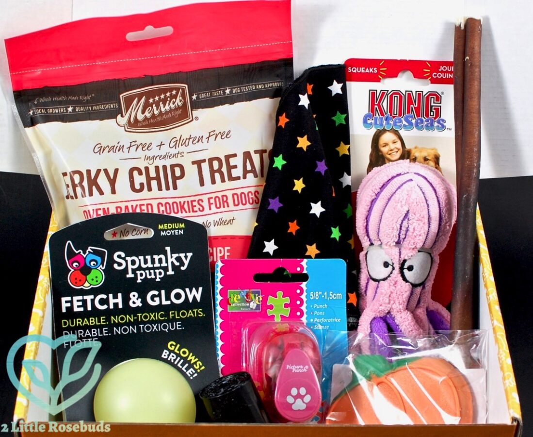 October 2016 Wigglebutt Box review