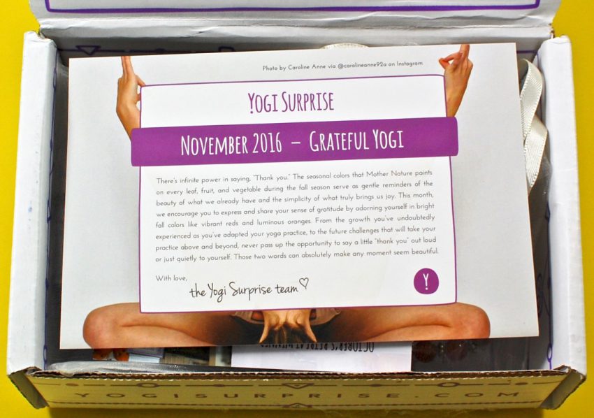 Yogi Surprise review