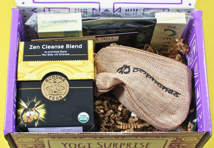 Yogi Surprise review